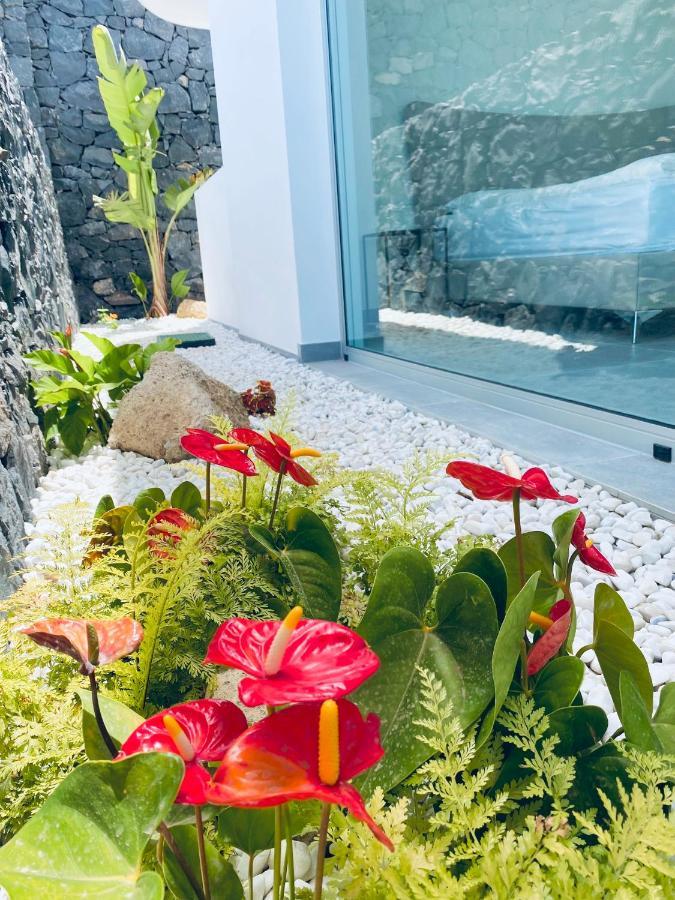 Rocavista - Villa With Heated Rooftop Pool And Amazing Ocean View Costa Adeje  Exterior foto